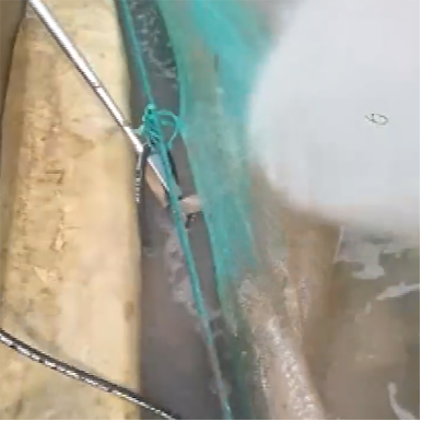 高壓清洗機,進口高壓清洗機,高壓清洗機價格,超高壓清洗機