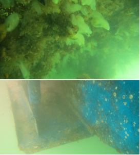 高壓清洗機,進口高壓清洗機,高壓清洗機價格,超高壓清洗機