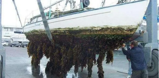 高壓清洗機,進口高壓清洗機,高壓清洗機價格,超高壓清洗機