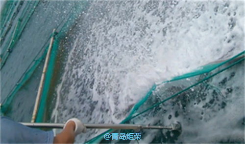 高壓清洗機,進口高壓清洗機,高壓清洗機價格,超高壓清洗機