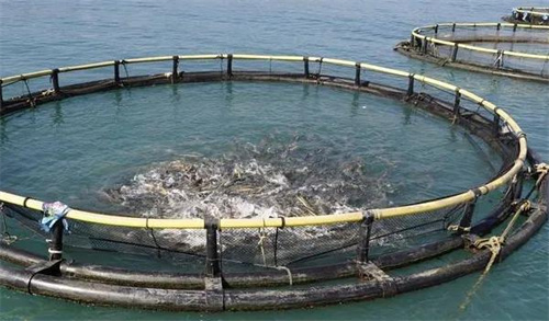 高壓清洗機,進口高壓清洗機,高壓清洗機價格,超高壓清洗機