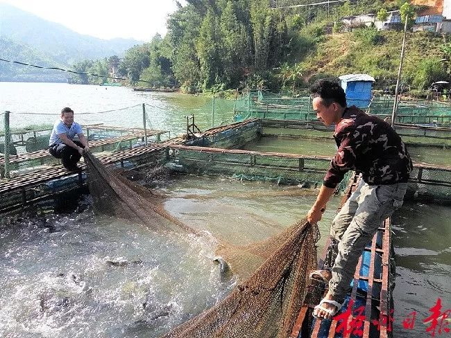 高壓清洗機,進口高壓清洗機,高壓清洗機價格,超高壓清洗機