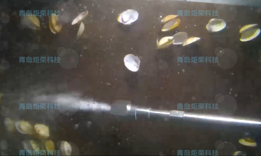 高壓清洗機,進口高壓清洗機,高壓清洗機價格,超高壓清洗機