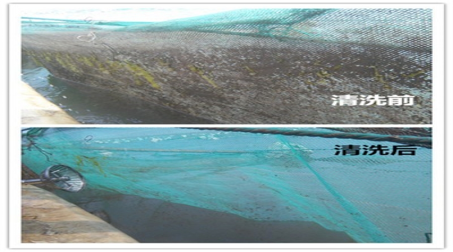 水產養(yǎng)殖網箱清洗